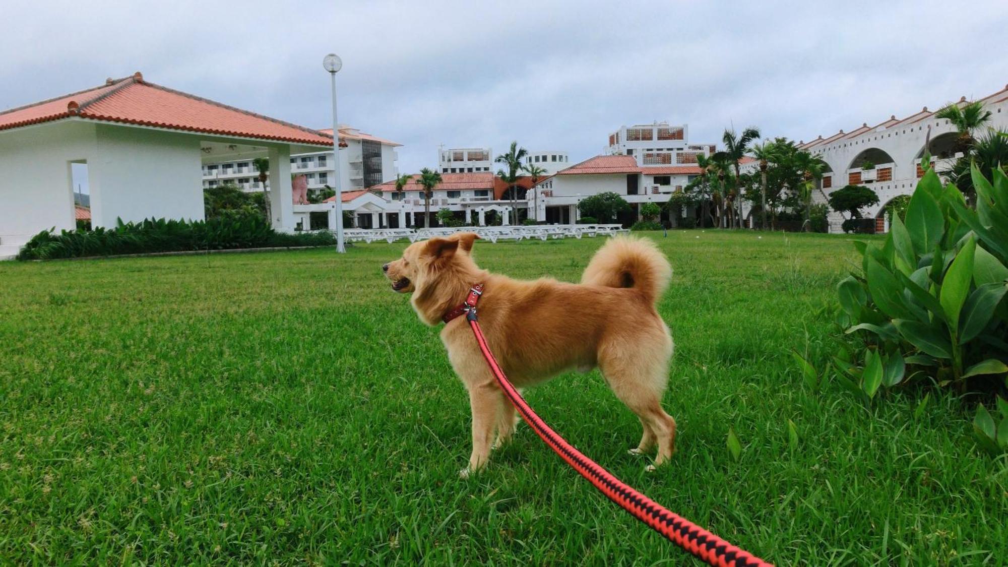 Watermark Hotel Okinawa Kume Island كوميجيما المظهر الخارجي الصورة